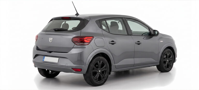 dacia-s-1-grise